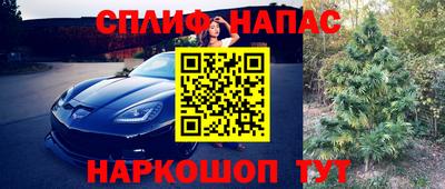 spice Краснознаменск